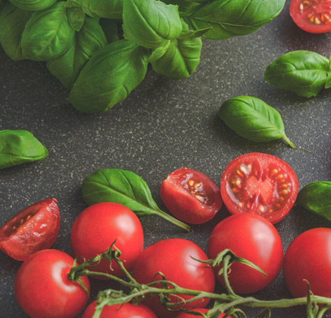 FRESH INGREDIENTS